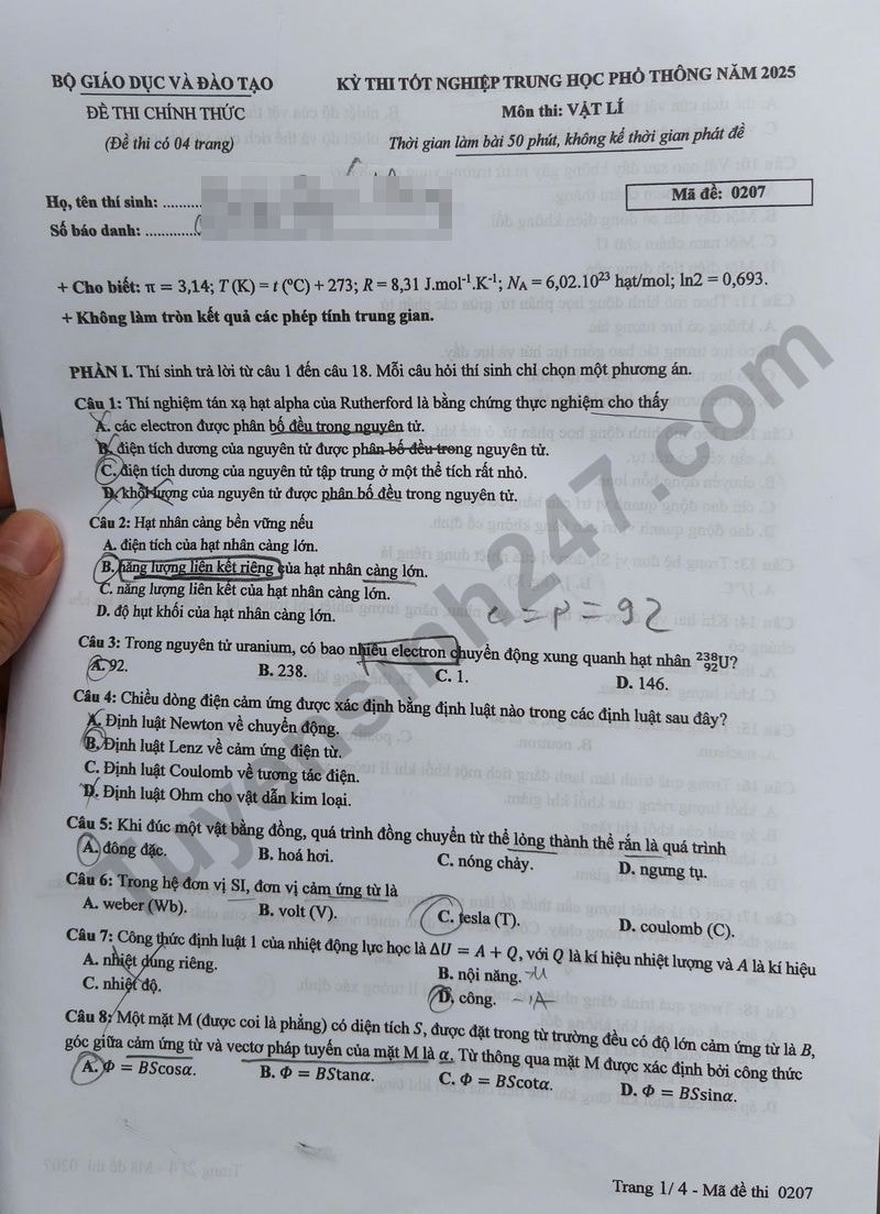 l1(2).jpg