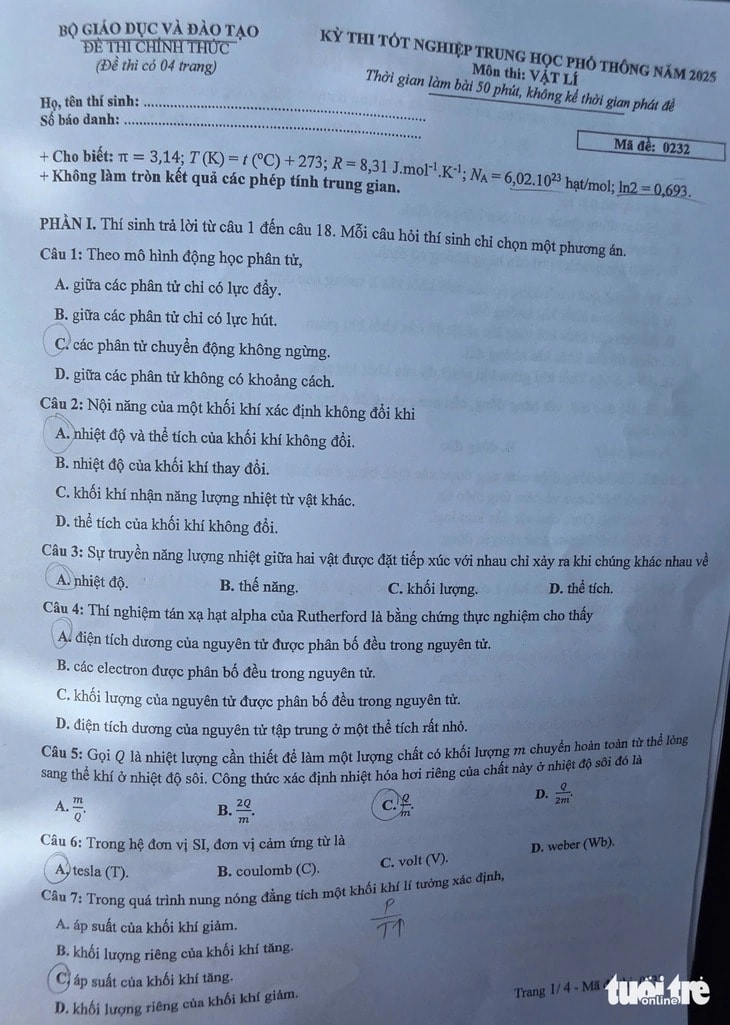 l1.jpg