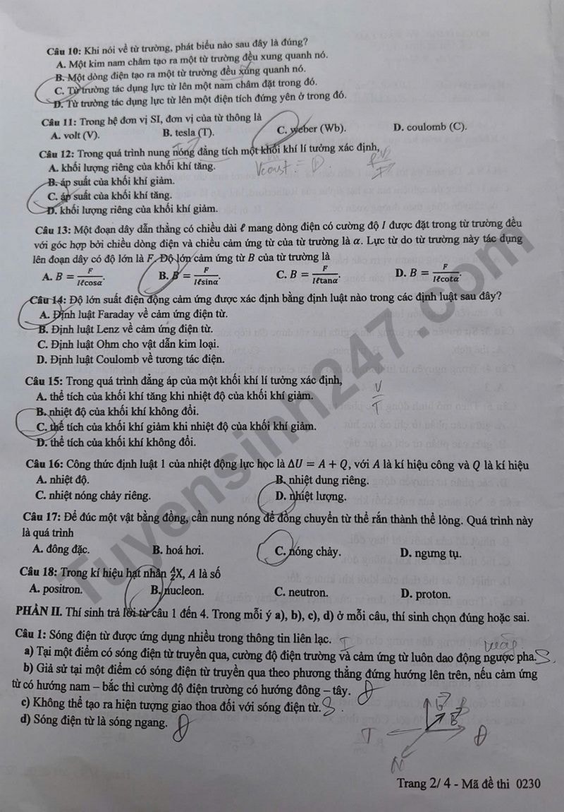 l2(1).jpg