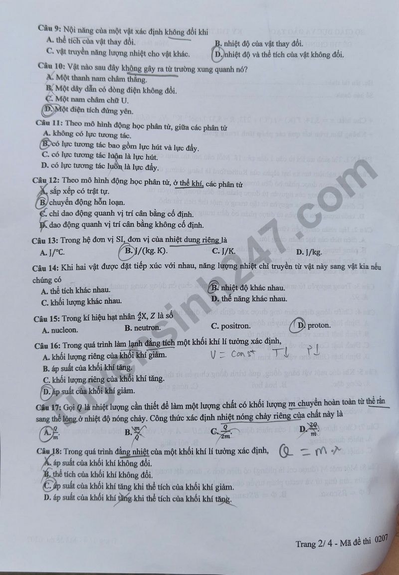 l2(2).jpg