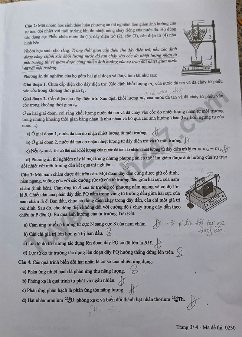l3(1).jpg
