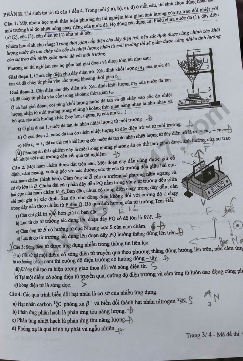 l3(2).jpg
