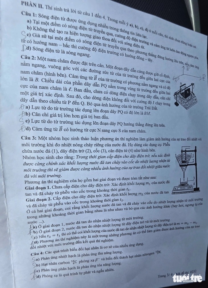 l3.jpg