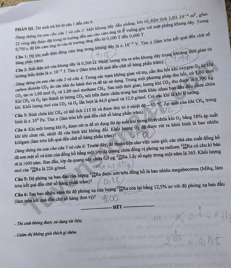 l4(1).jpg