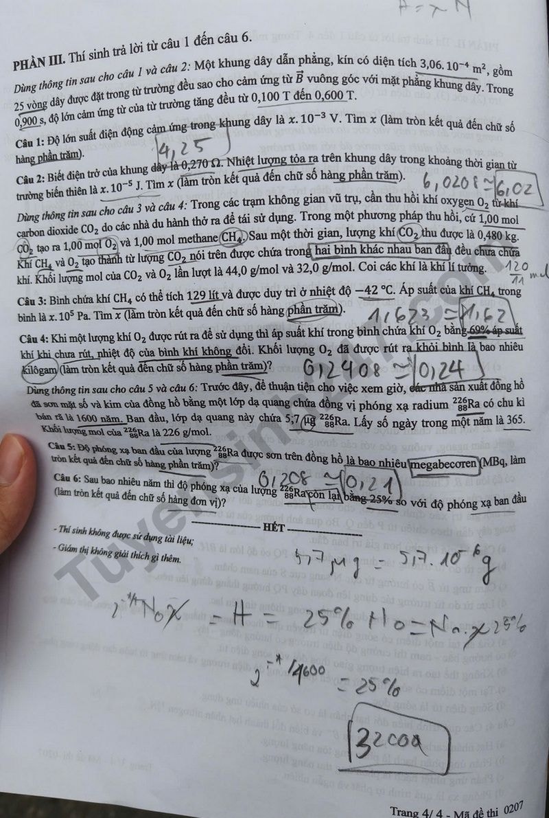 l4(2).jpg