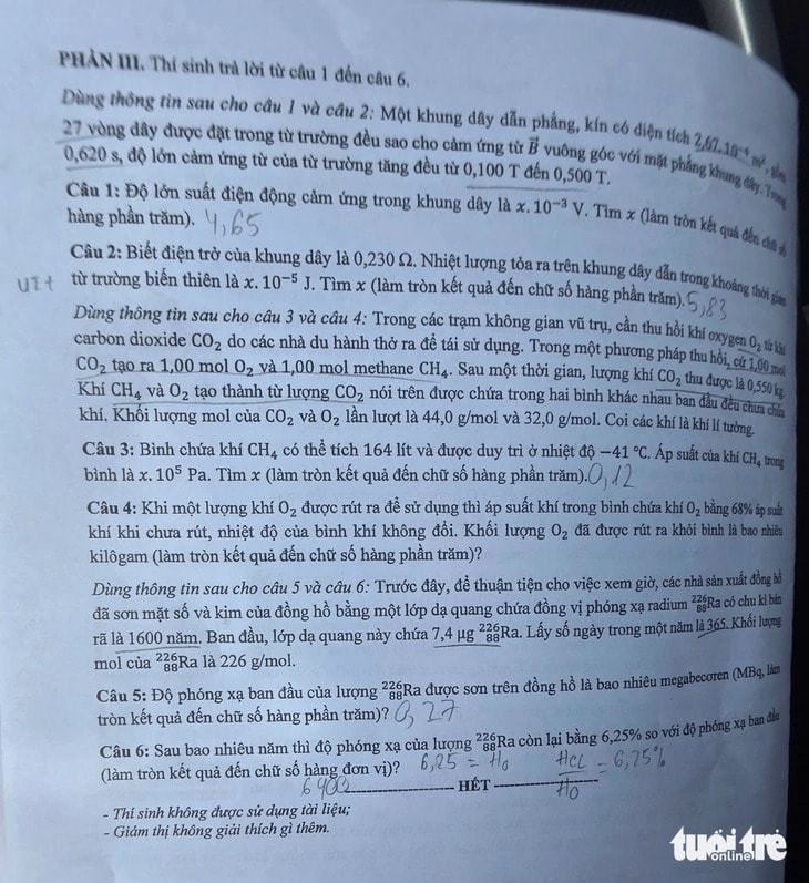 l4.jpg