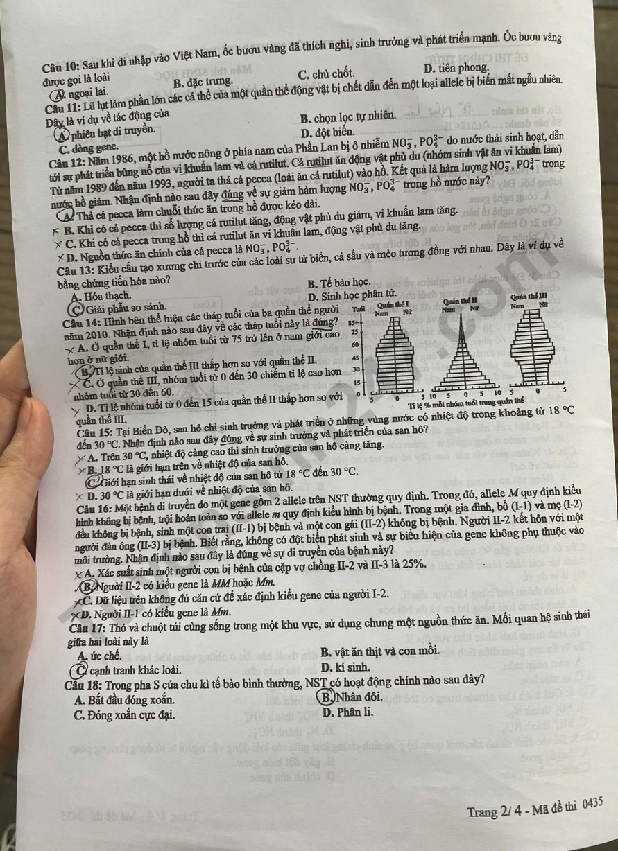 s2.jpg