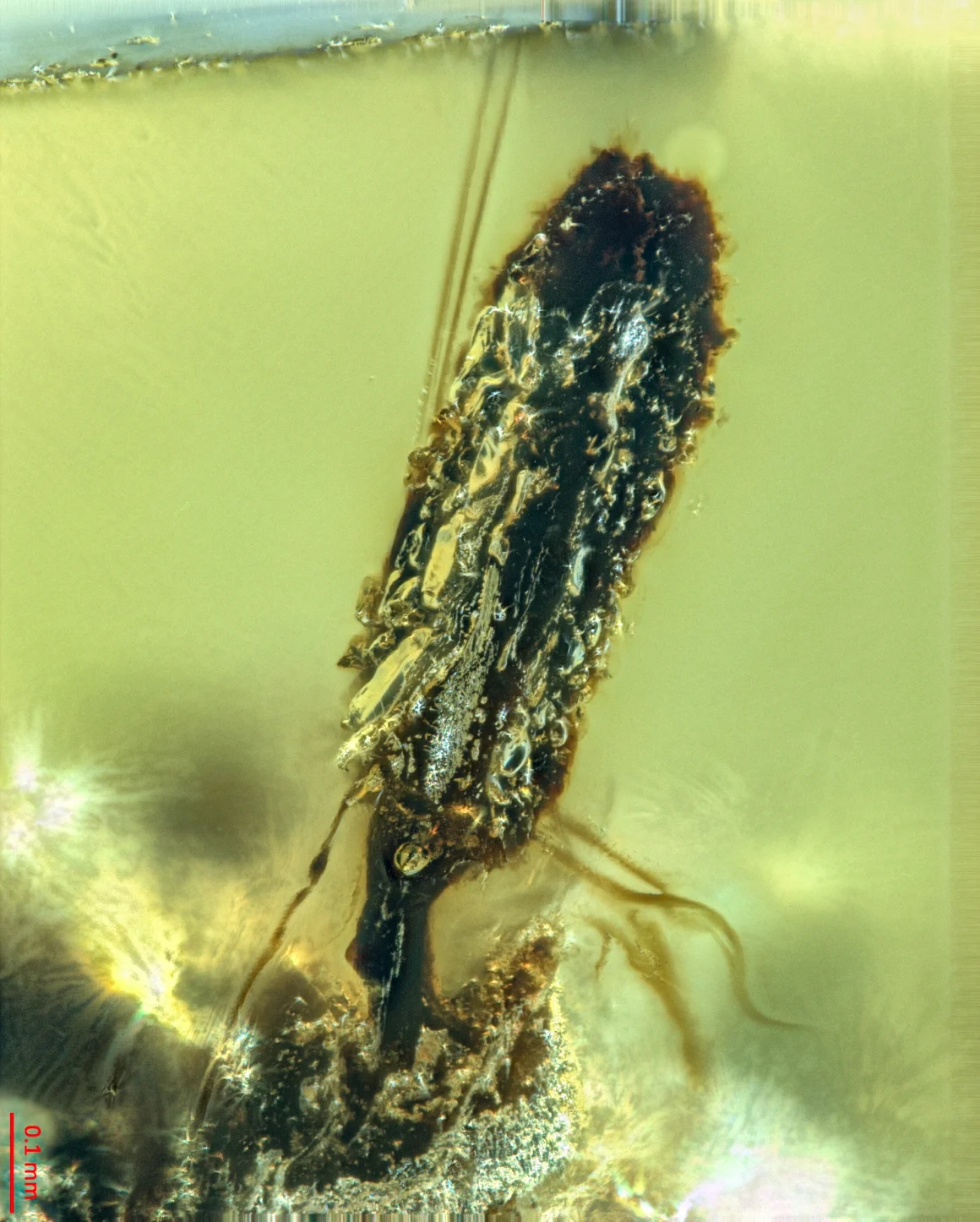 untitled(5).png