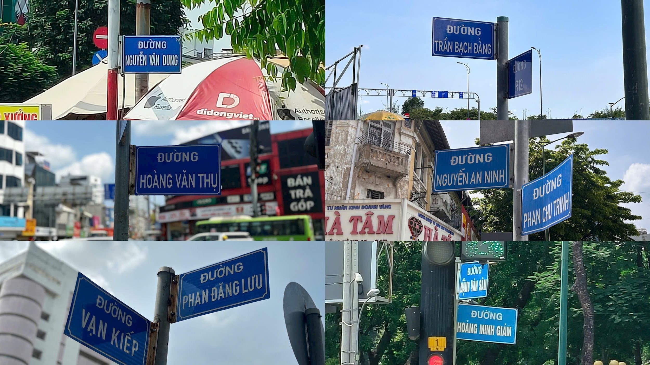 Ảnh 5