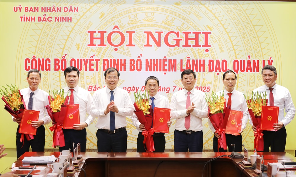 bổ nhiệm