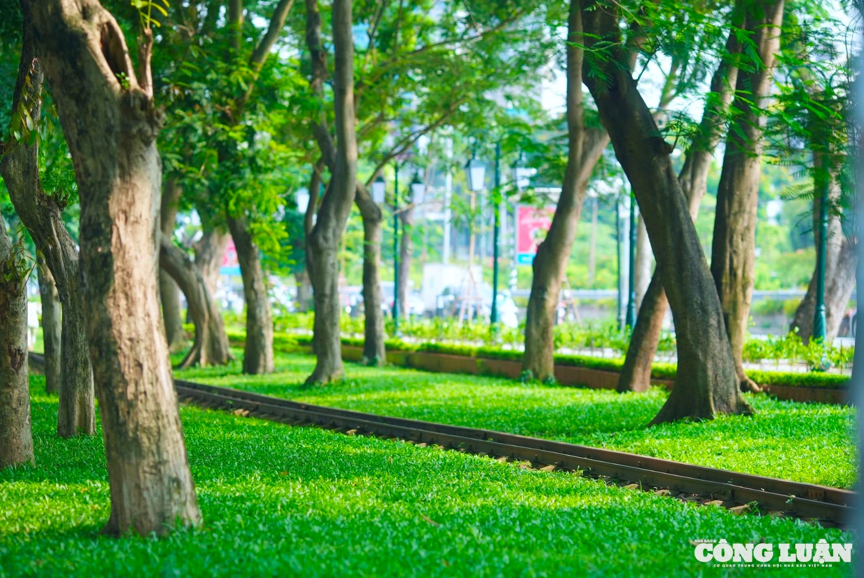 Ảnh màn hình 2025-07-07 lúc 09.10.24