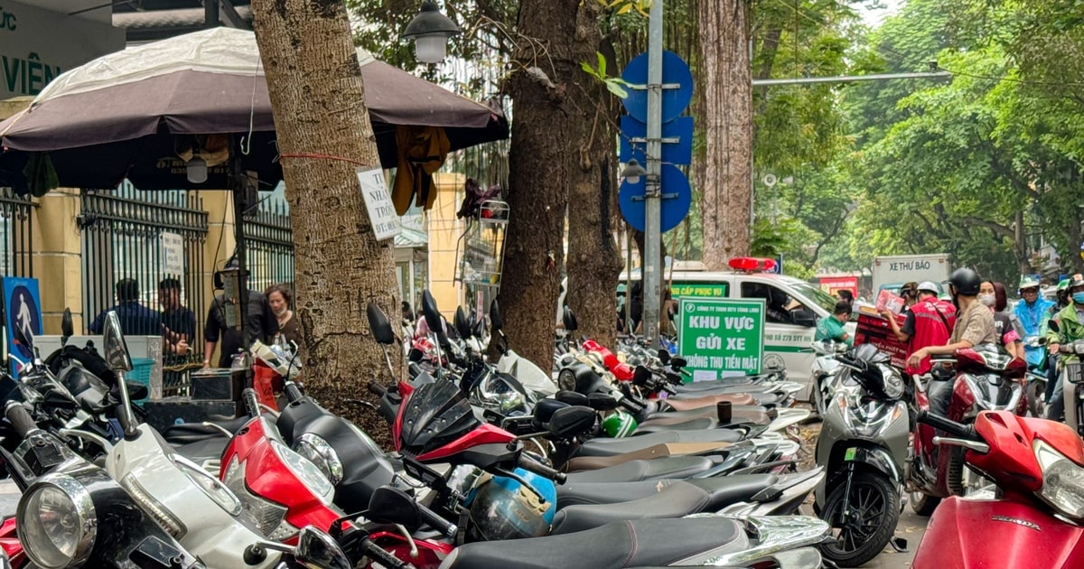 thu phí trông giữ xe