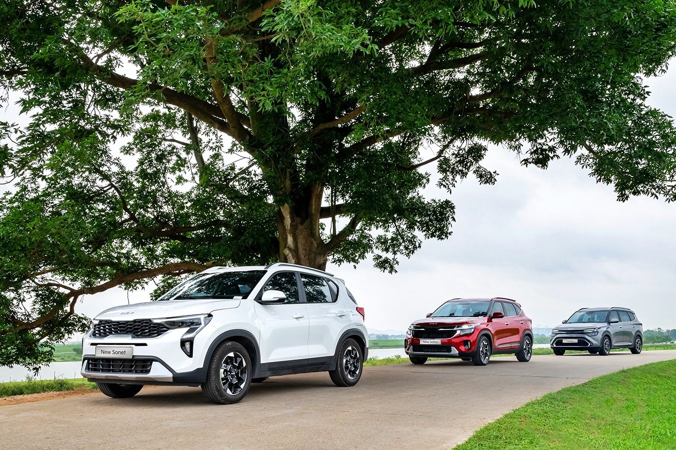 Bộ 3 mẫu xe gầm cao đô thị Kia Sonet, Seltos và Carens - Ảnh: Thaco Auto