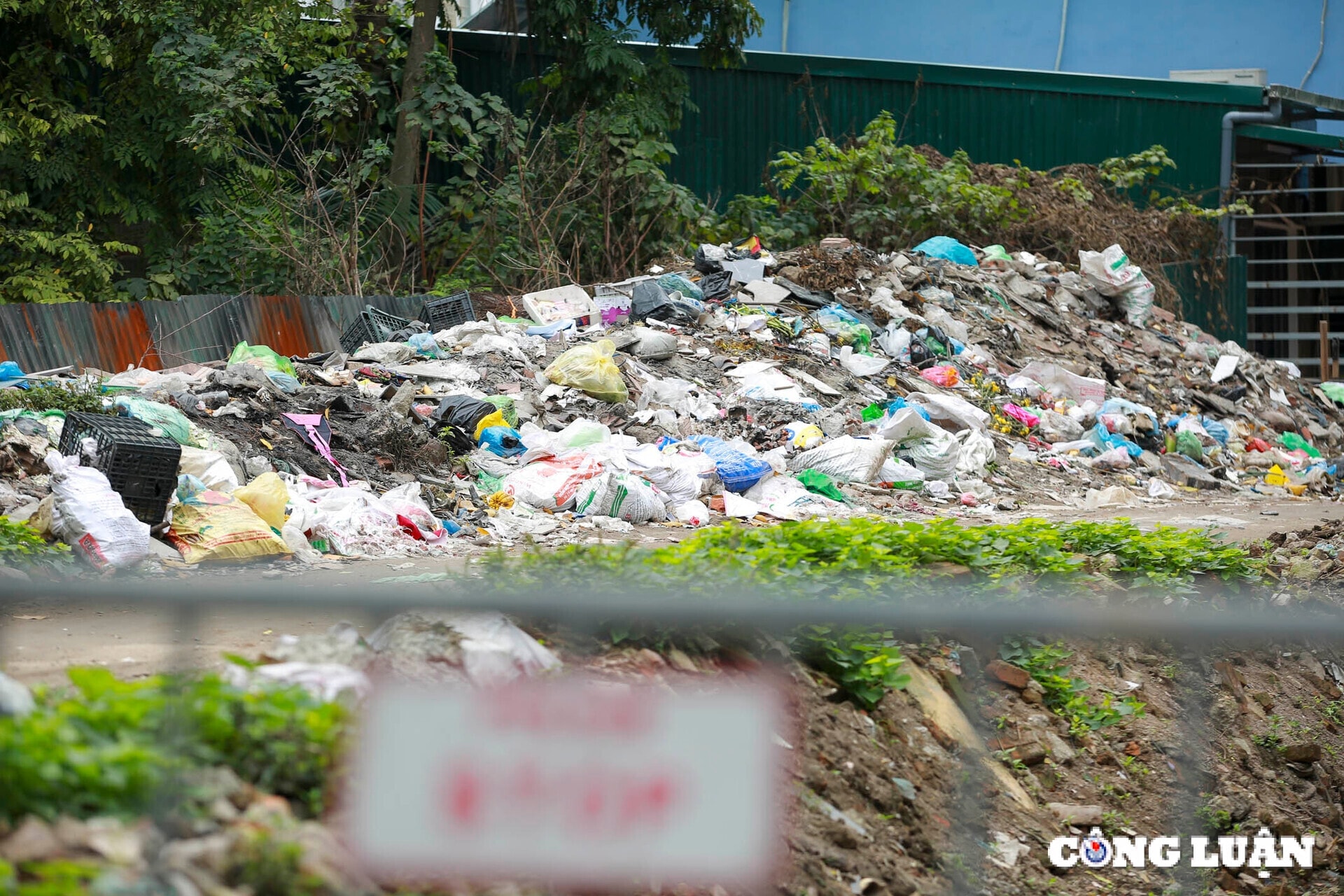congluan-cdn.congluan.vn-files-content-2025-03-06-_rac-thai_7-1512.jpg