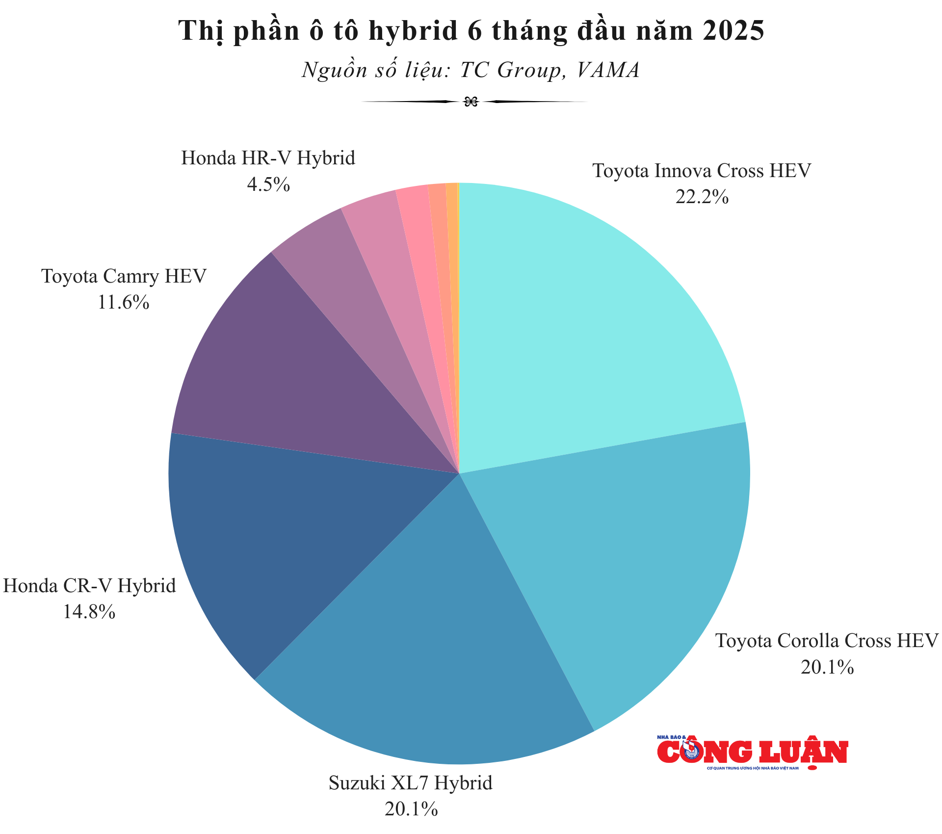 thi-phan-o-to-hybrid-6-thang-dau-nam-2025.png