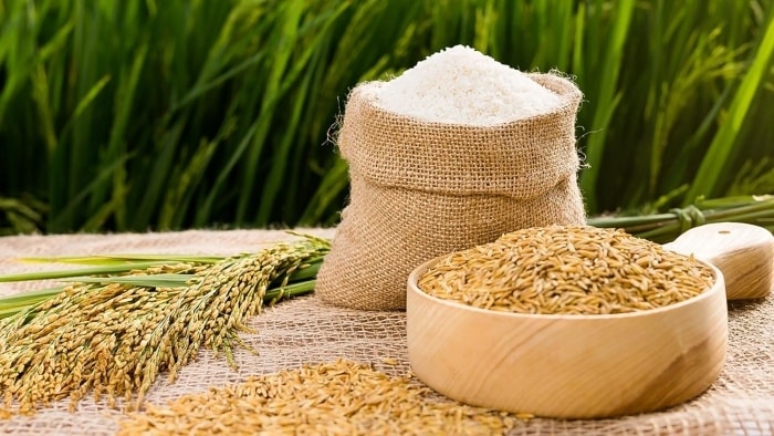 Giá lúa gạo hôm nay (17-9): giá gạo tăng 50 - 200 đồng kg