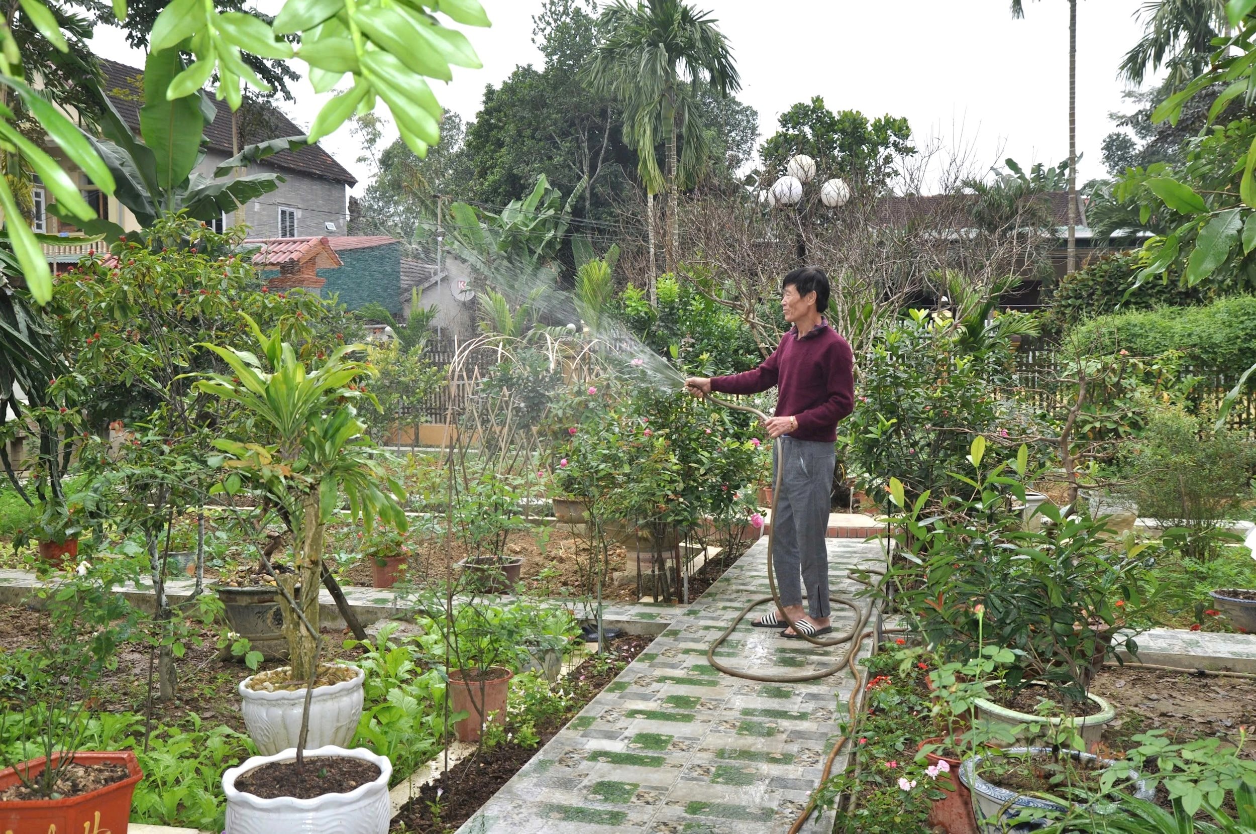 Cựu chiến binh Phạm Công Tác chăm sóc vườn cây xanh mát tại gia đình – nơi vừa là không gian sinh hoạt, vừa là mô hình vườn mẫu tiêu biểu trong phong trào xây dựng nông thôn mới