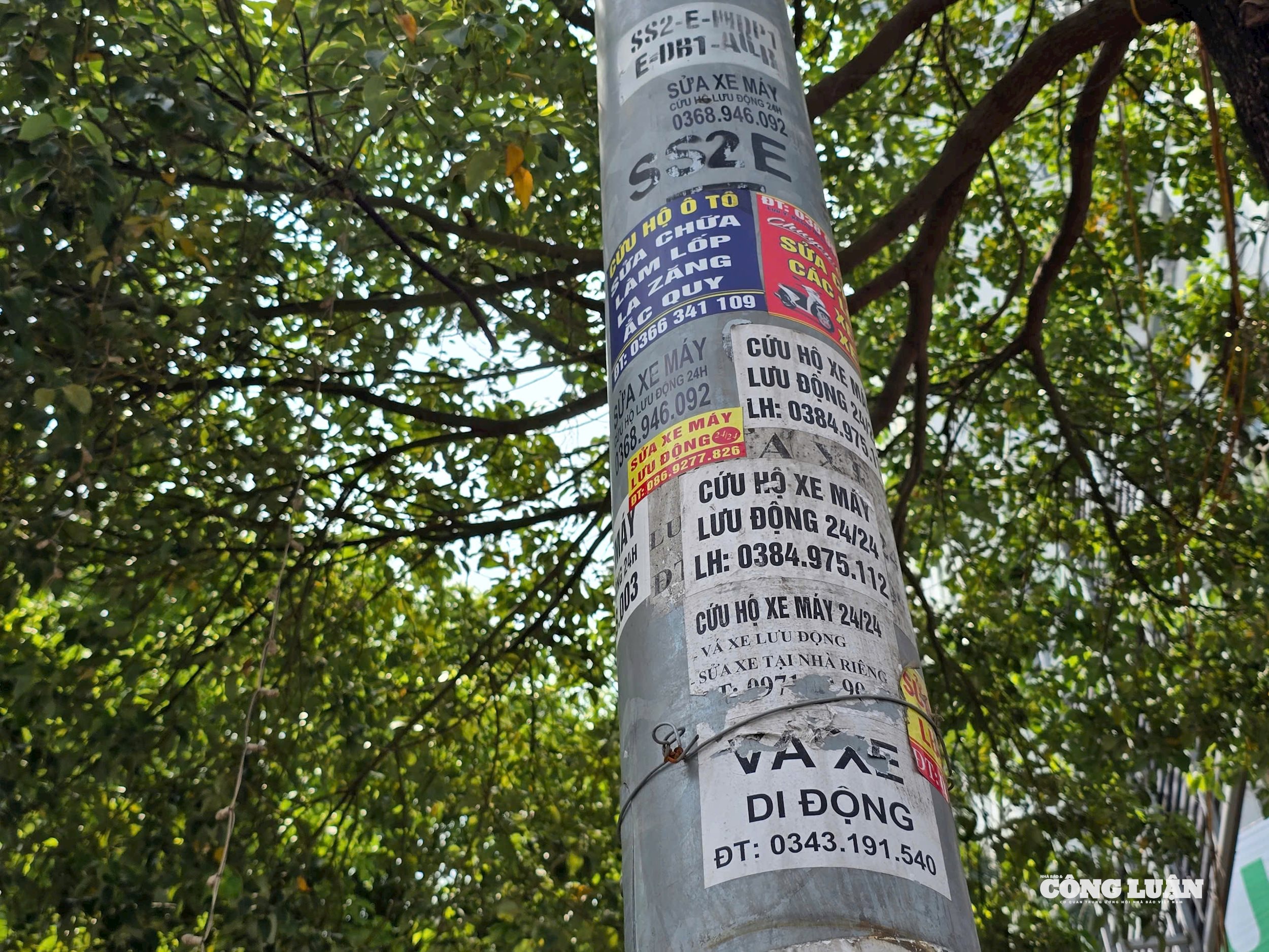 z6820274515304_68a6da9375ef47b3876c93f603976ba8.jpg