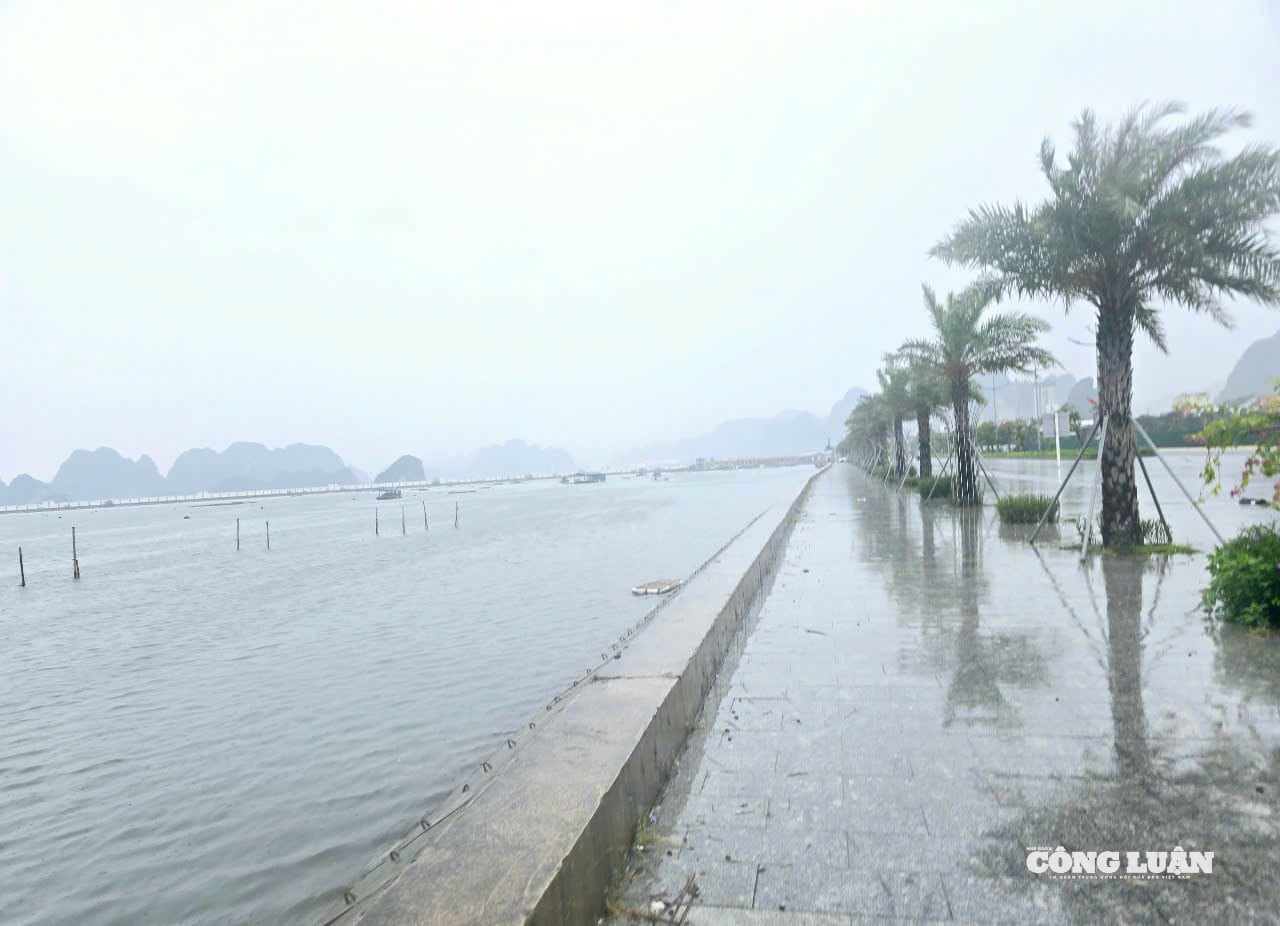 anh-10-phong-chong-bao-so-3.jpg