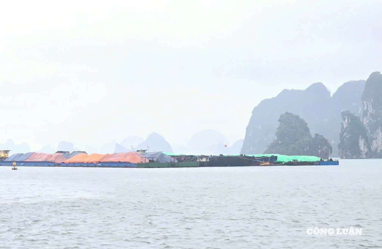 anh-5-phong-chong-bao-so-3.jpg