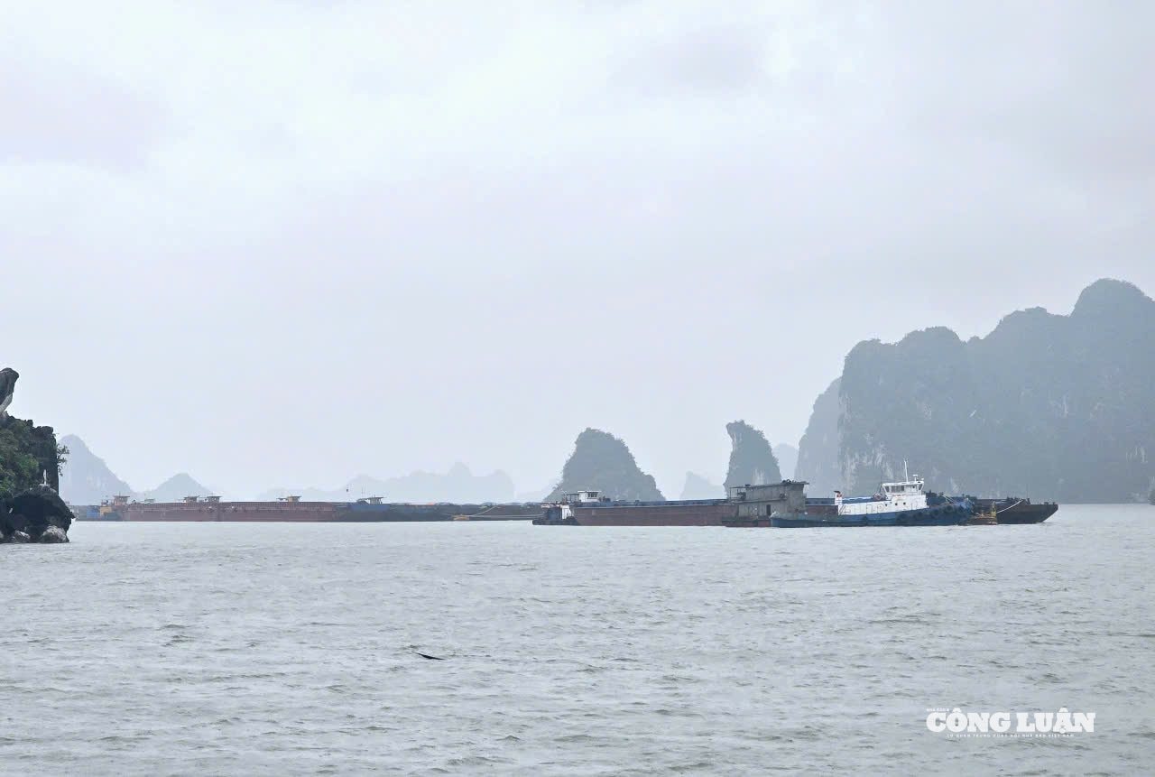 anh-6-phong-chong-bao-so-3.jpg
