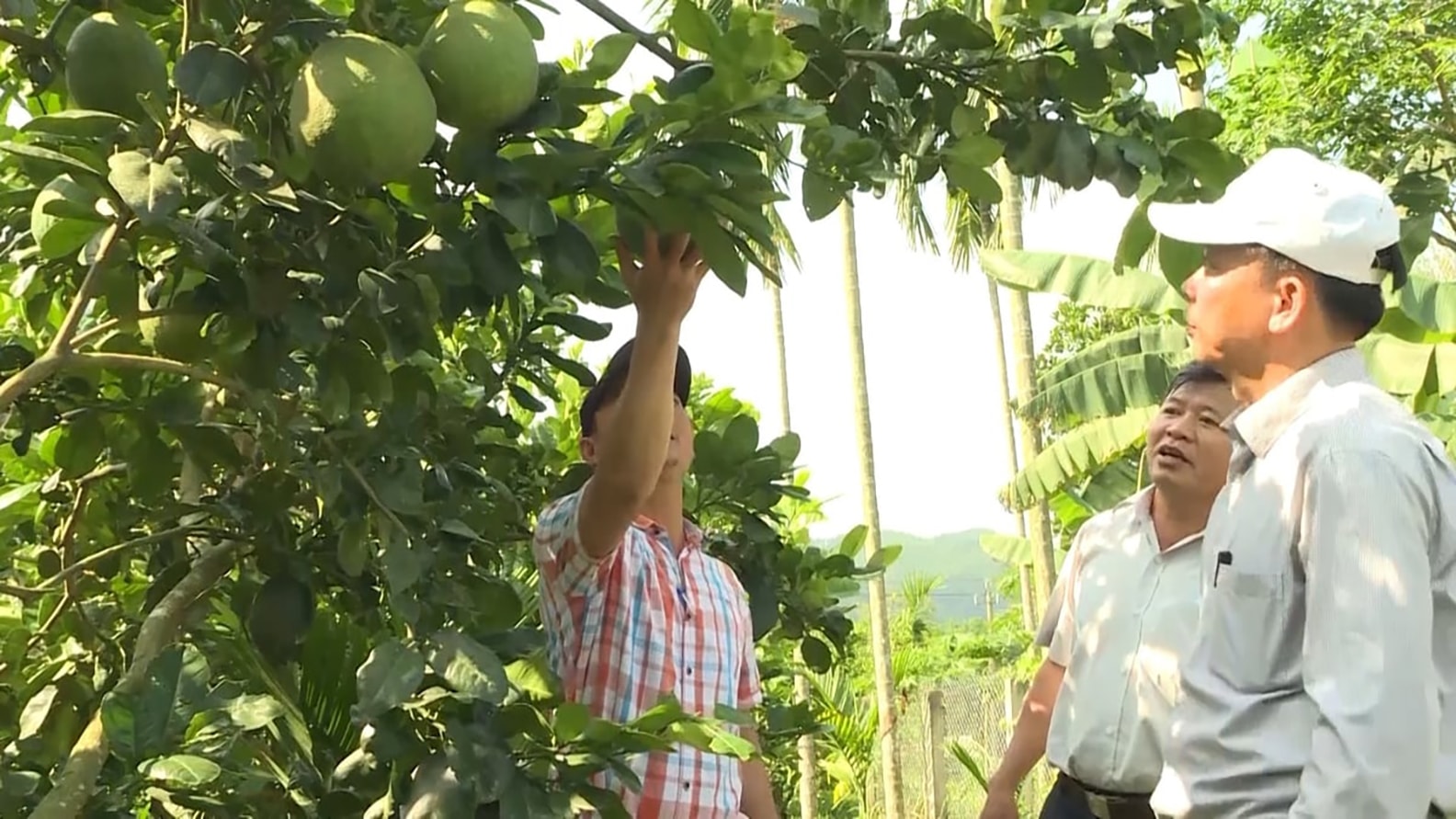 Chính quyền tranh thủ các nguồn lực đầu tư, tập trung hỗ trợ phát triển sản xuất, đa dạng hóa sinh kế và triển khai các mô hình giảm nghèo Ảnh Võ Hà.