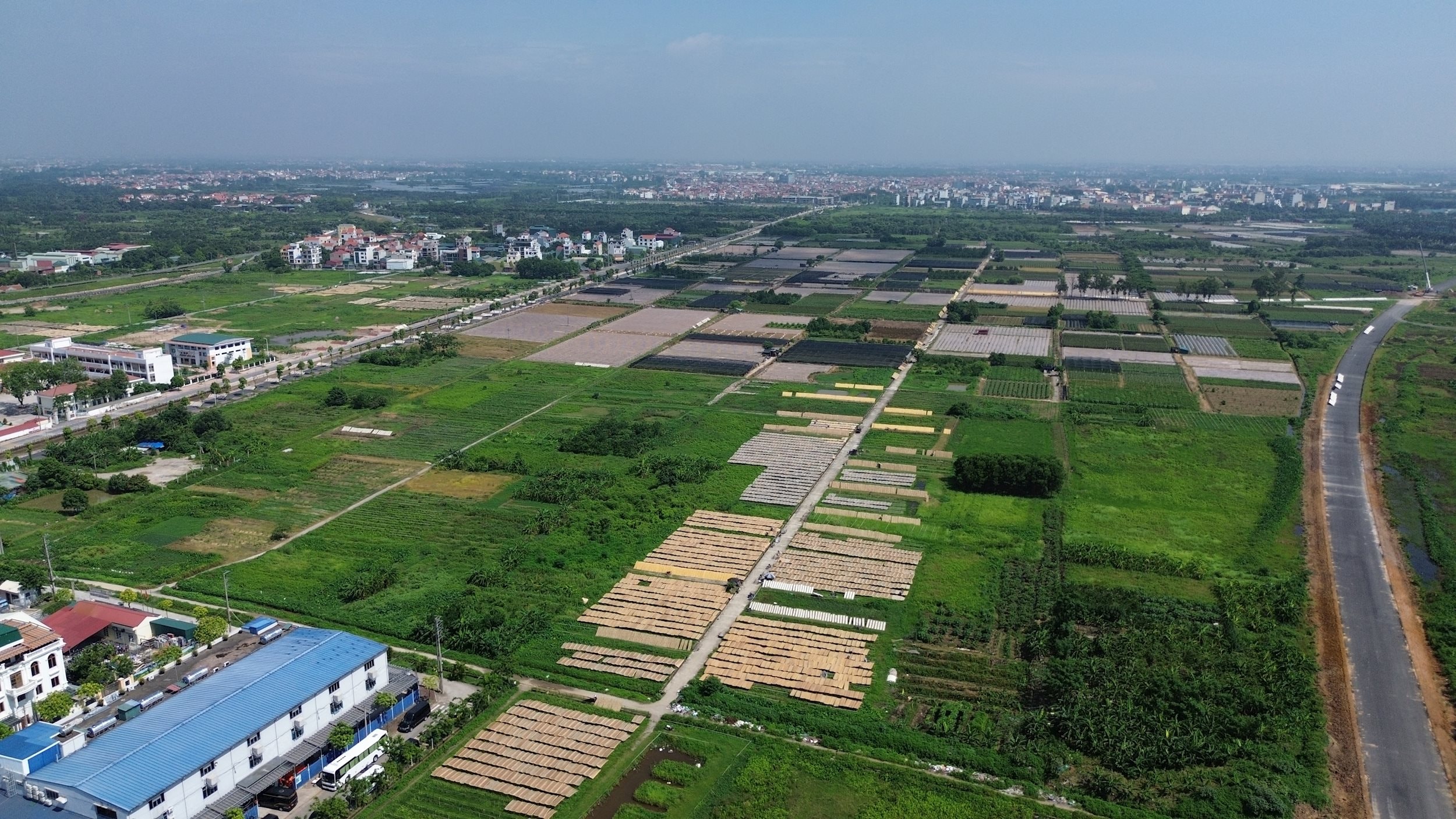 dji_0181.jpg