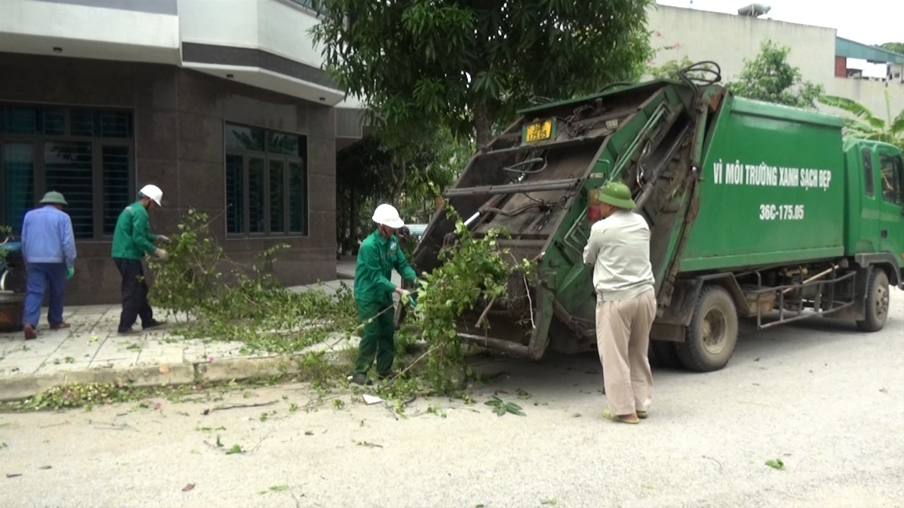 cắt cây 3
