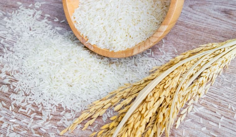 Giá lúa gạo hôm nay 25/7/2023: Không biến động