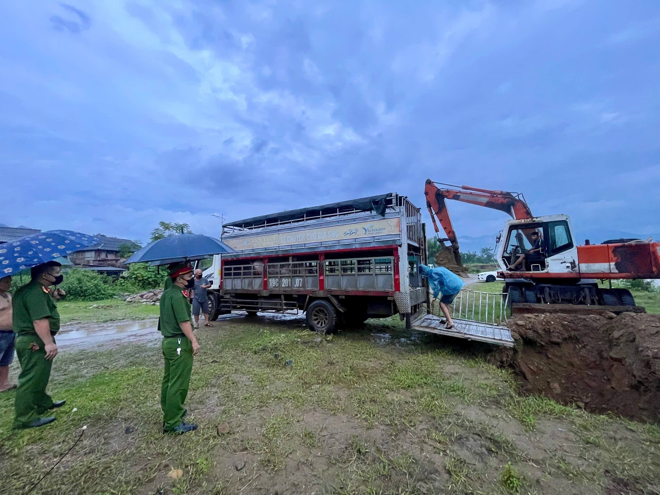 Toàn bộ số lợn nhiễm bệnh bị tiêu huỷ theo đúng quy trình