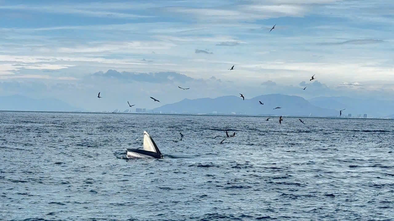 z6849665643209_a476e1214f5af72f6fa3369206222f11.jpg
