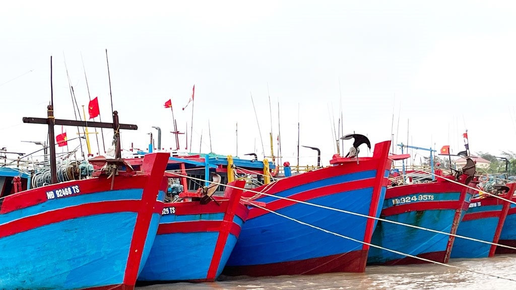 tàu cá