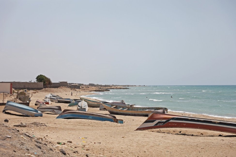 photo-pbn.jpg