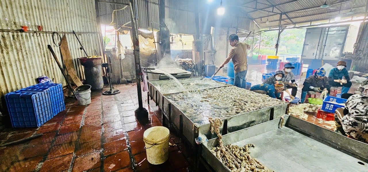Nội tạng