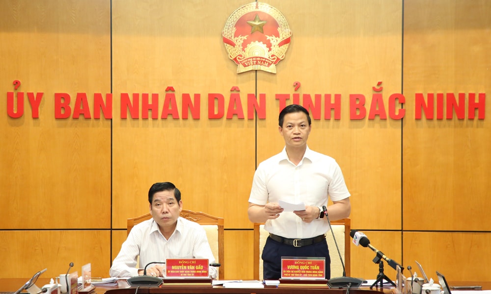 bắc nHoạt động thương mại, dịch vụ được tạo đà phát triển sau sáp nhập với tổng giá trị bán lẻ và doanh thu dịch vụ tăng 27,49% so với cùng kỳ. Sản phẩm nông nghiệp chủ lực là vải thiều bội thu với 205.000 tấn, xuất khẩu đạt 38%, tiêu thụ nội địa được đa dạng phương thức khi tỉnh kết nối đưa vải thiều vào bếp ăn khu công nghiệp. Kim ngạch xuất, nhập khẩu tăng 14%, thu ngân sách đạt 80,8% dự toán; thu nội địa đạt 85% dự toán.