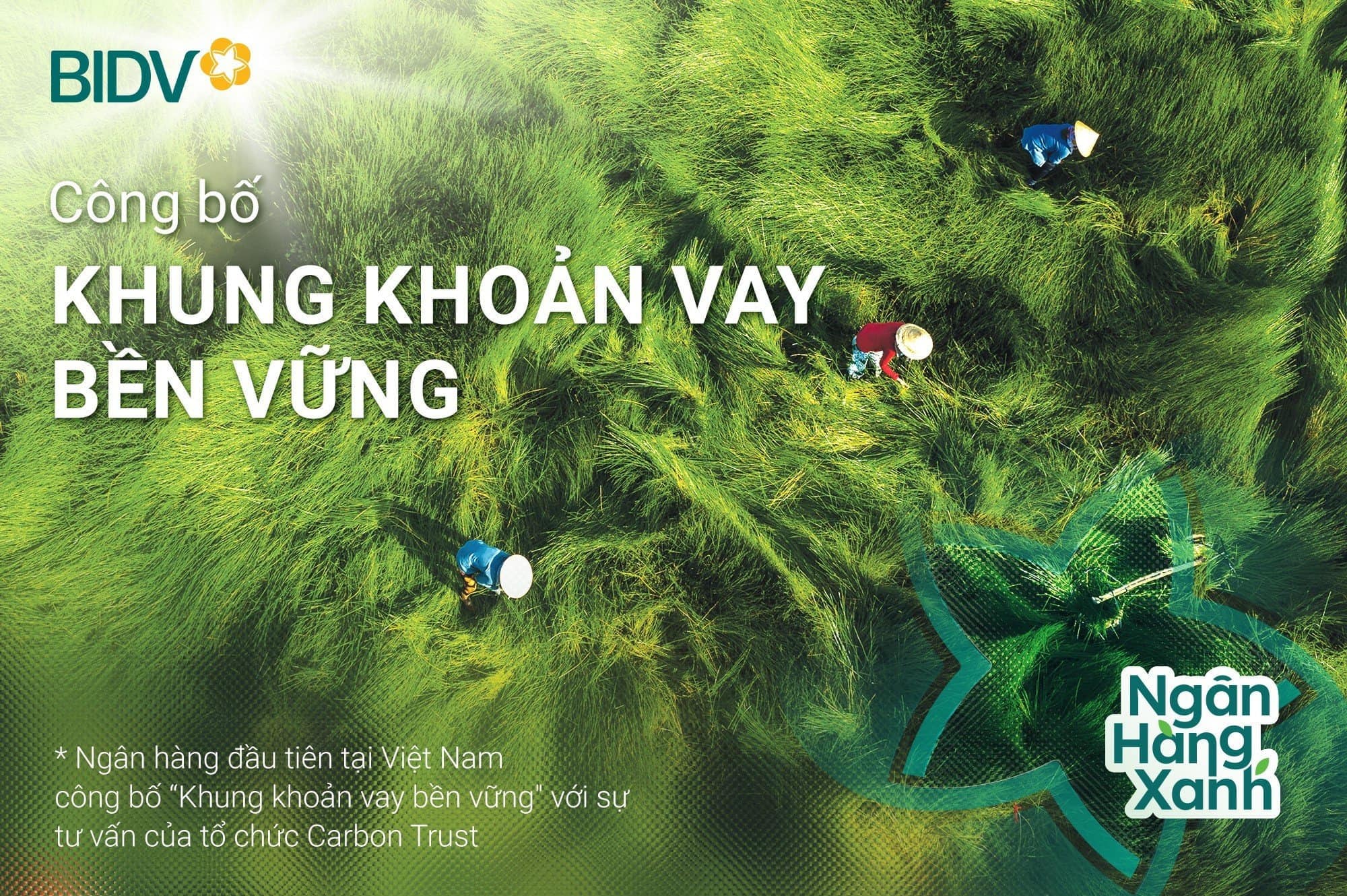 BIDV khung khoan vay ben vung