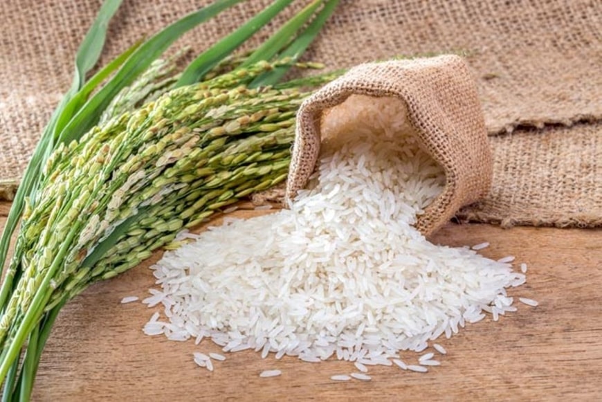 Giá lúa gạo hôm nay 9/8: Giao dịch trầm lắng