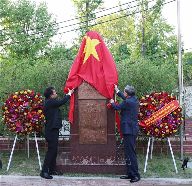 tuong-dai1.jpg