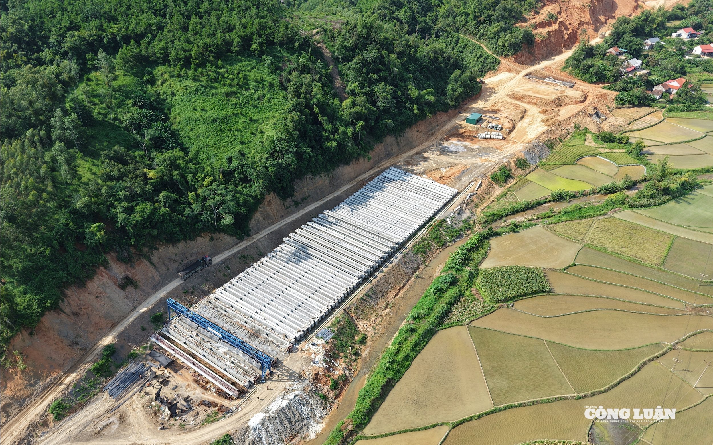 dji_20250802152209_0215_d.jpg