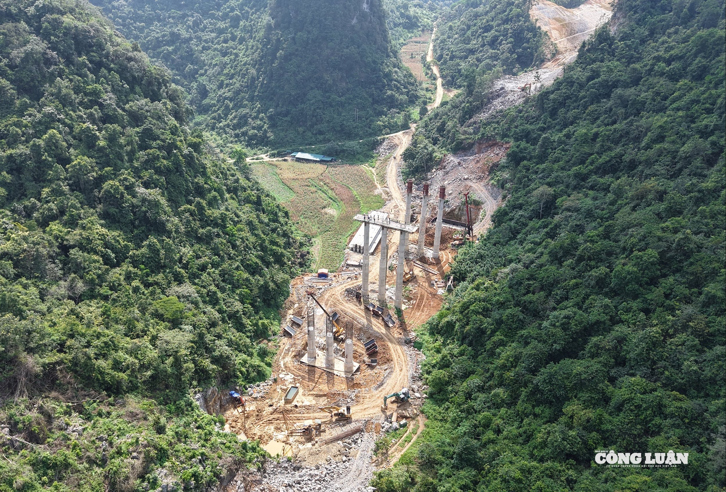 dji_20250803144602_0242_d.jpg