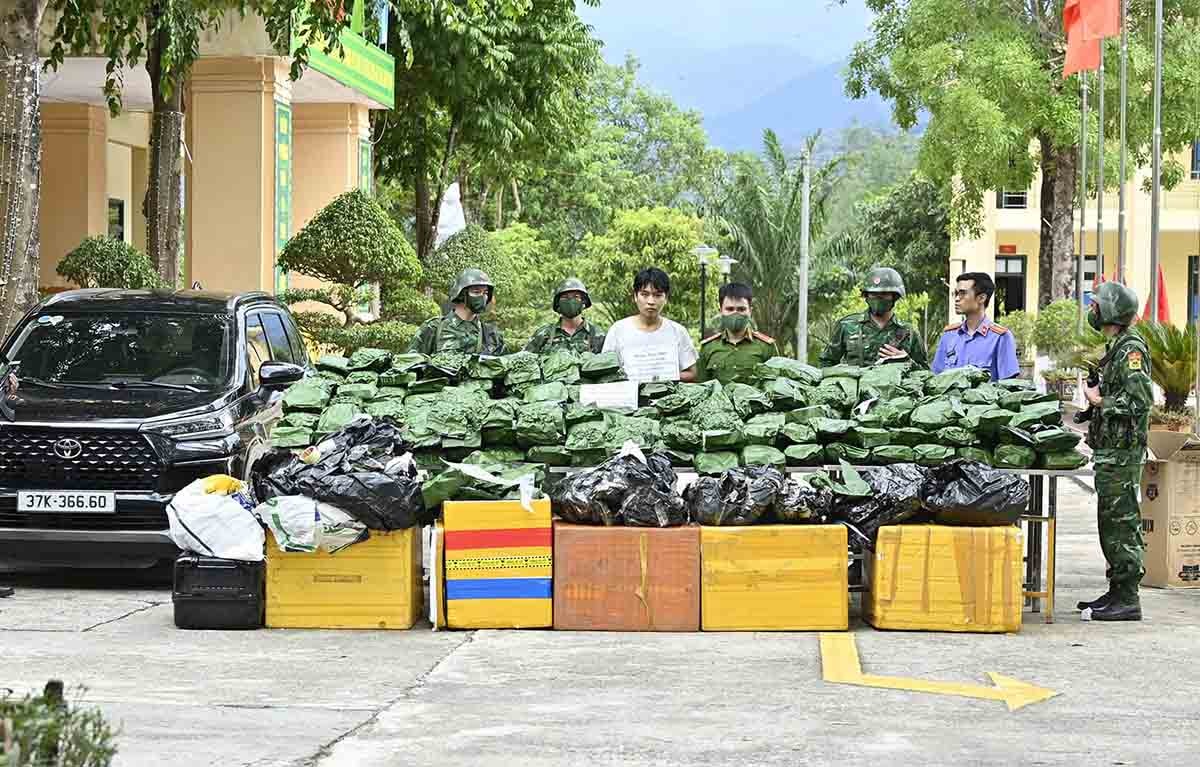 Bắt 1 đối tượng, thu giữ 240kg cần sa khô