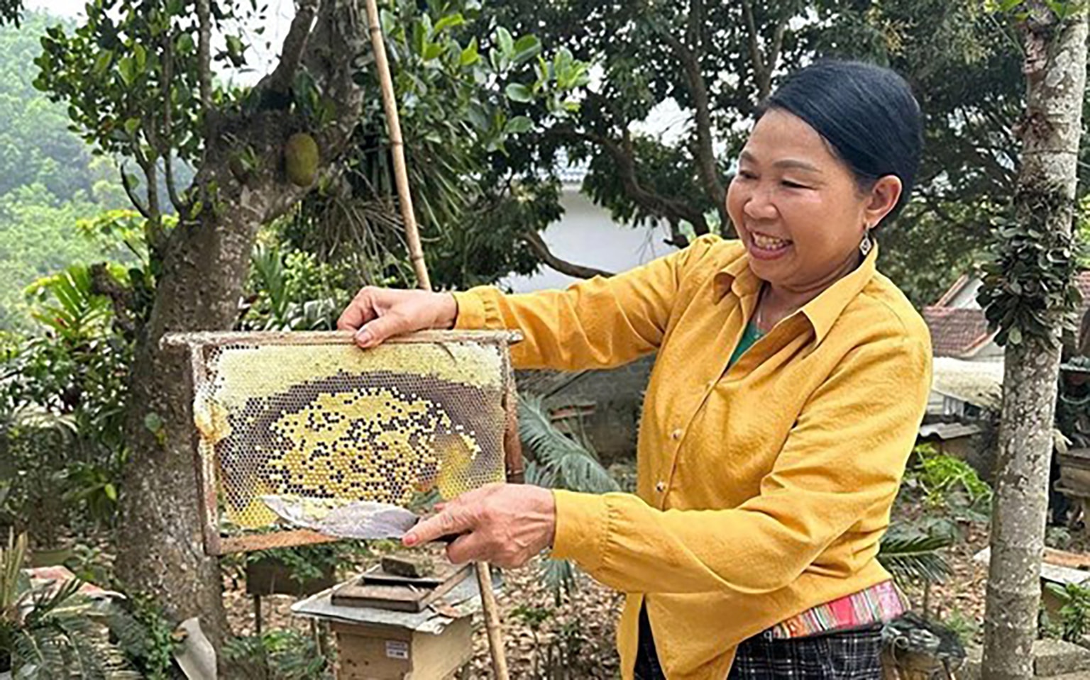 Ninh Bình Nỗ lực thực hiện giảm nghèo bền vững vùng đồng bào dân tộc thiểu số