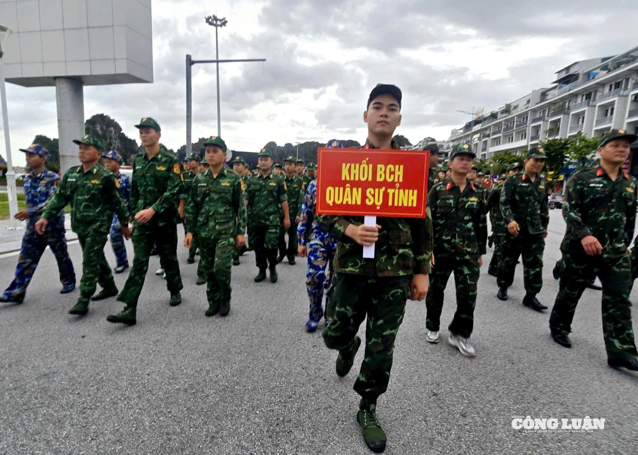 anh-8-di-bo-cung-viet-nam-tien-buoc.jpg
