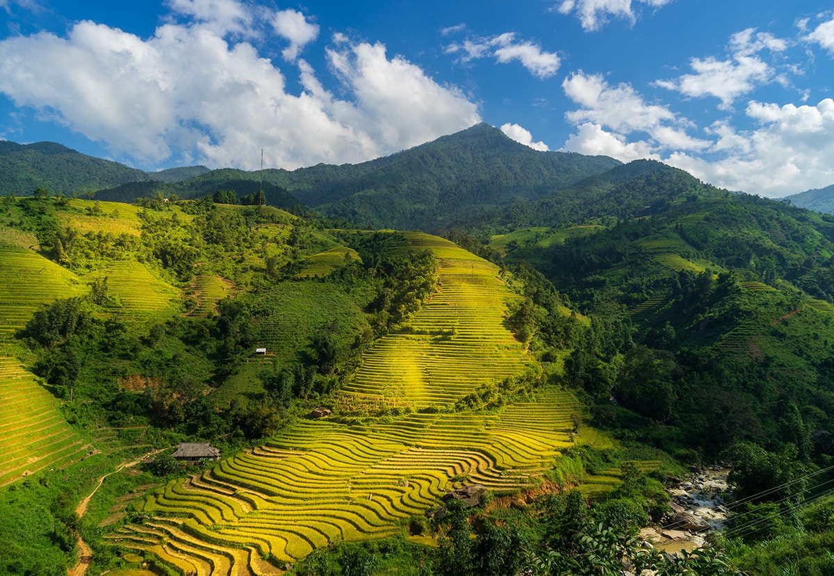 ảnh ruộng bậc thang sa pa