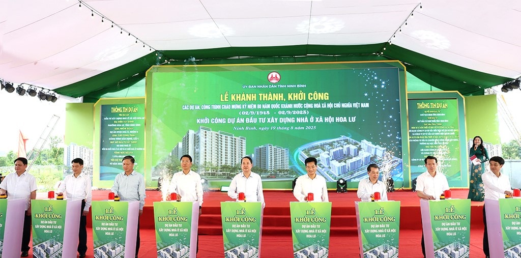 dự án 3