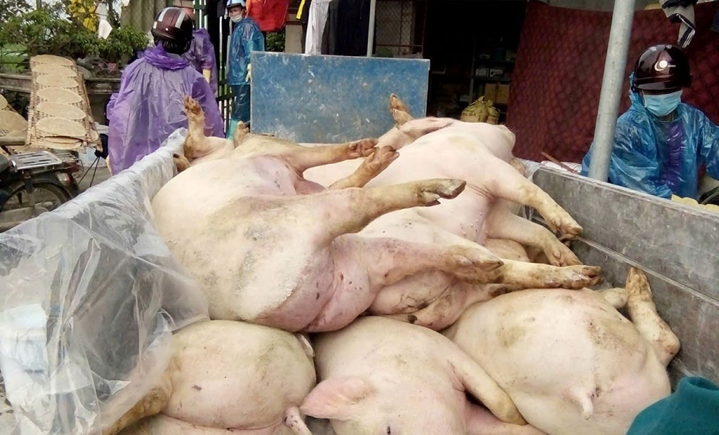 HƯNG YÊN