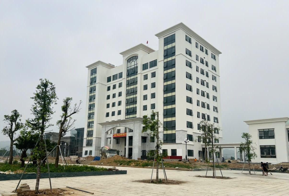 hoa lư mới