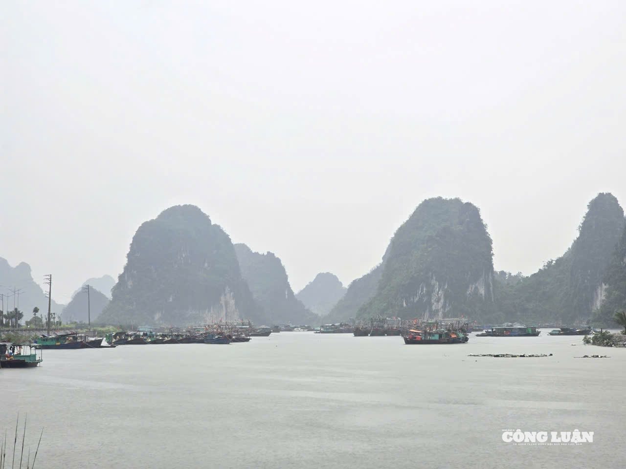 anh-1-ung-pho-bao-so-5.jpg
