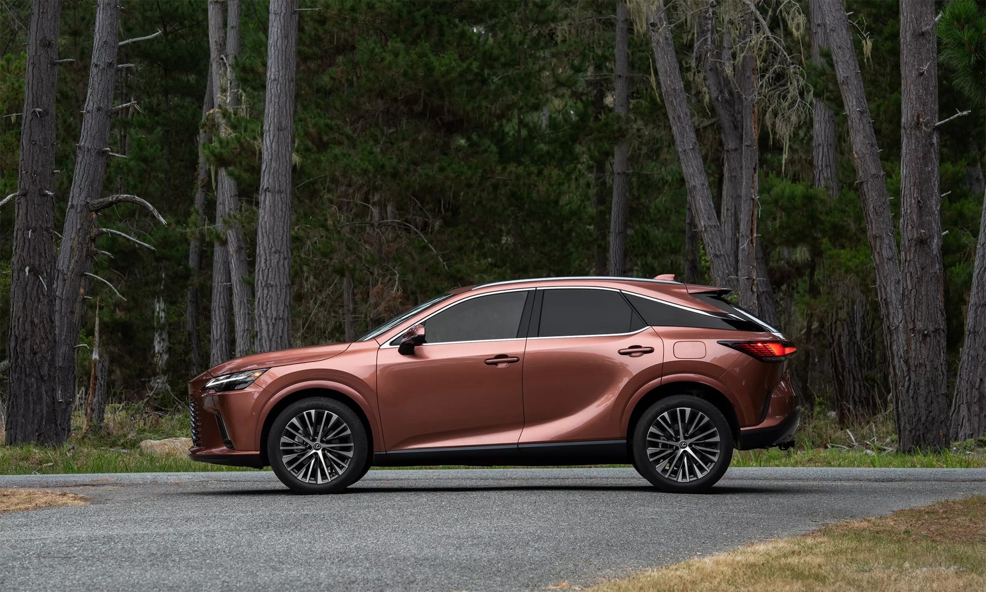 Xe bắt đầu ban ra thị trường Mỹ từ cuối năm 2025 - Ảnh: Lexus