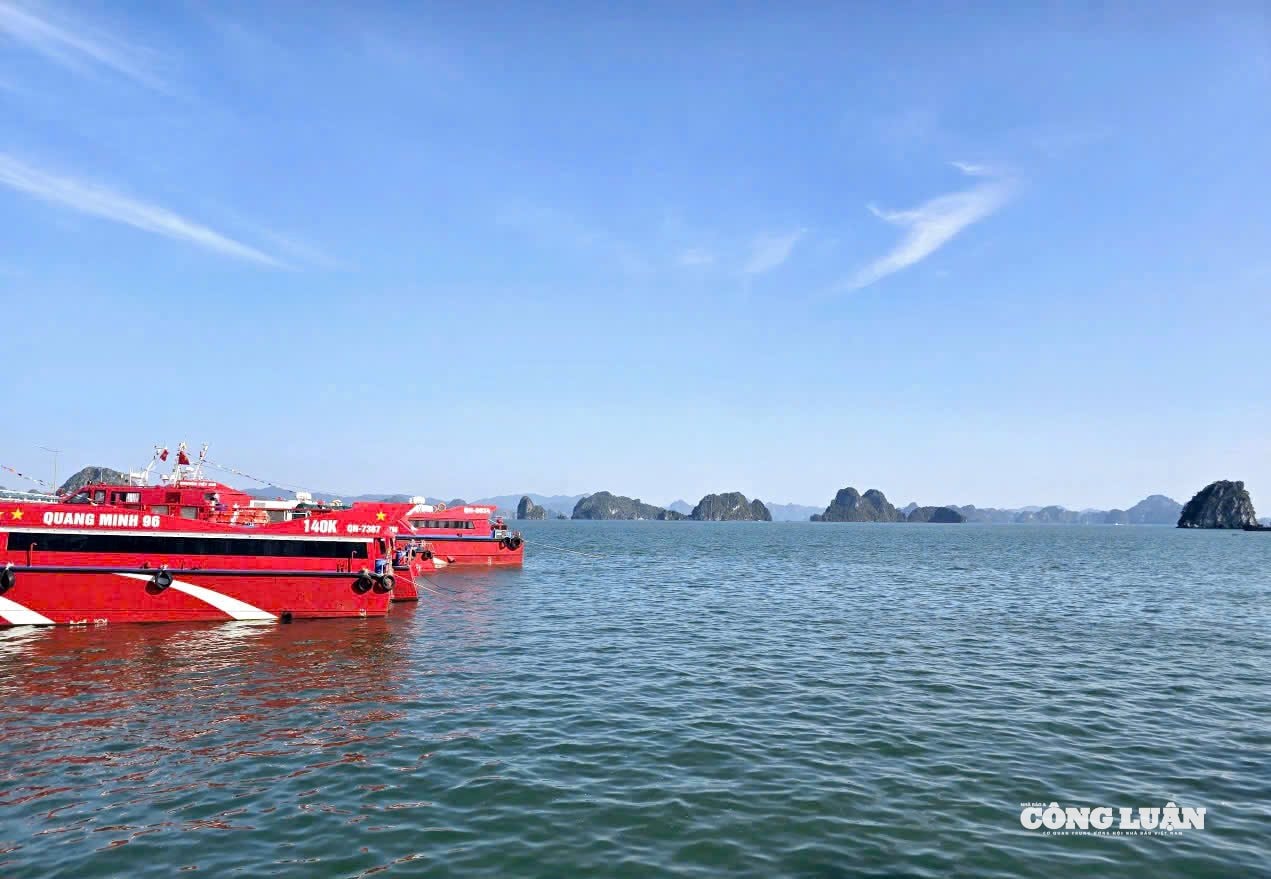 anh-1-du-lich-thu-dong-quang-ninh.jpg